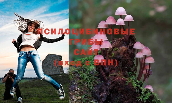 синтетический гашиш Волоколамск