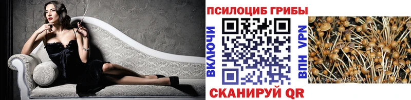 Галлюциногенные грибы мицелий  Купить  Карачев 